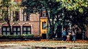 704621_586824.webp