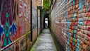 Image.webp